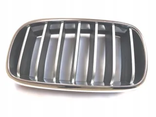 7316075 Решетка радиатора BMW X6 F16 Арт e12166533, вид 1