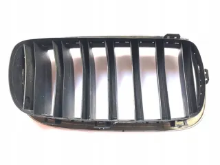 7316075 Решетка радиатора BMW X6 F16 Арт e12166533, вид 2