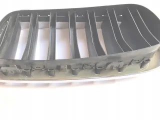 7316075 Решетка радиатора BMW X6 F16 Арт e12166533, вид 4