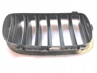 7316075 Решетка радиатора BMW X6 F16 Арт e12166533, вид 6
