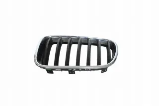 7210725 Решетка радиатора BMW X3 F25 Арт e12166495, вид 1