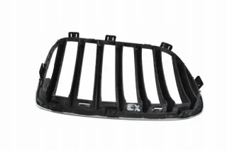 7210725 Решетка радиатора BMW X3 F25 Арт e12166495, вид 4