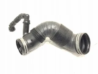 3C0129654P LORK-667-19959 Гофра инжектора Volkswagen Passat B6 Арт e12165279, вид 1