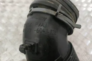 3C0129654 Гофра инжектора Seat Alhambra 2 Арт e12164769, вид 9
