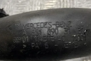 W212 A6510903137 Гофра инжектора Mercedes C W204 Арт e12163832, вид 1