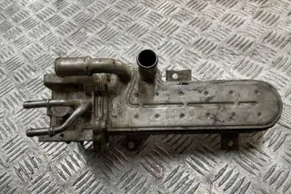 038131513D Клапан EGR Seat Altea Арт e12162374, вид 2