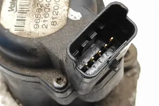 9658203780 Клапан EGR Citroen Berlingo 2  Арт e12160362, вид 1