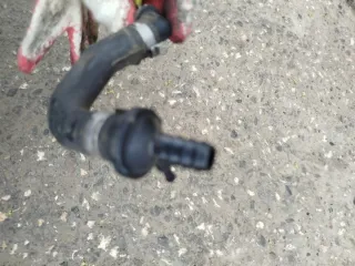 1K0611939 Гофра инжектора Audi A3 8P Арт e12160167, вид 3