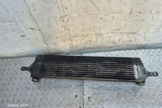 P3578001 Интеркулер Nissan X-Trail T31 Арт e12126170, вид 3