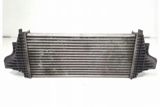 W251, A2515000000 Интеркулер Mercedes GL X164 Арт e12126081, вид 1