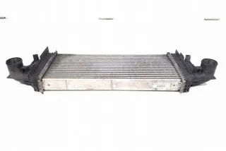 W251, A2515000000 Интеркулер Mercedes GL X164 Арт e12126081, вид 2