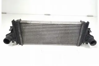W251, A2515000000 Интеркулер Mercedes GL X164 Арт e12126081, вид 3