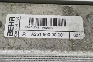 W251, A2515000000 Интеркулер Mercedes GL X164 Арт e12126081, вид 4
