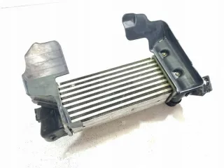 52000224 Интеркулер Lancia Ypsilon 3 Арт e12125972