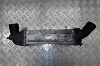 874823N Интеркулер Citroen C5 2 Арт e12125746, вид 5