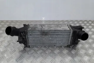 874823N Интеркулер Citroen C5 2 Арт e12125746, вид 8