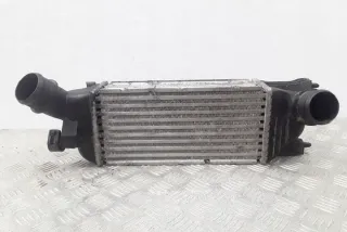 9645682880 Интеркулер Citroen C5 2 Арт e12125736, вид 1