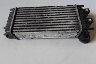 9684212480 Интеркулер Citroen Berlingo 2  Арт e12125695, вид 3