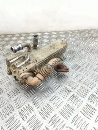 3210275 Радиатор EGR Volkswagen Golf 5 Арт e12125389, вид 1