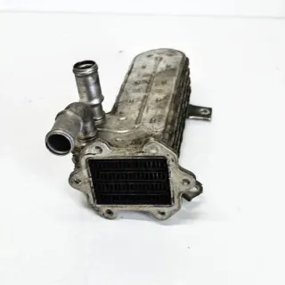 038131513AD Радиатор EGR Seat Altea Арт e12124831, вид 3