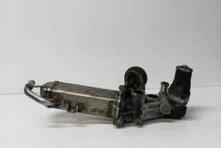 0280751012 Радиатор EGR Seat Alhambra 2 Арт e12124747, вид 7
