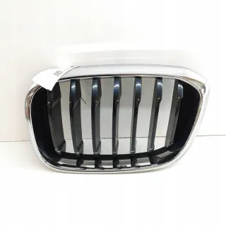 8091725 Решетка радиатора BMW X3 G01 Арт e12086405, вид 1