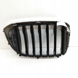 8091725 Решетка радиатора BMW X3 G01 Арт e12086405, вид 2