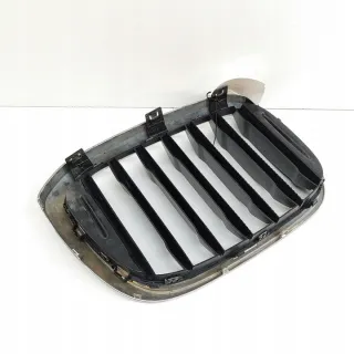 8091725 Решетка радиатора BMW X3 G01 Арт e12086405, вид 4
