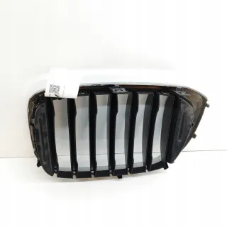 8091726 Решетка радиатора BMW X3 G01 Арт e12086404, вид 2