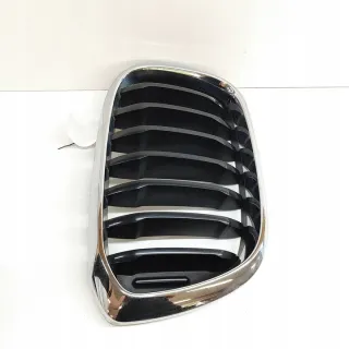8091726 Решетка радиатора BMW X3 G01 Арт e12086404, вид 3
