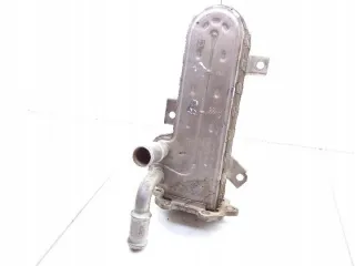 038131513AD Радиатор EGR Seat Altea Арт e12068931, вид 2