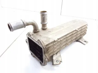 038131513AD Радиатор EGR Seat Altea Арт e12068931, вид 3