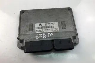 047906033C Блок управления двигателем Skoda Fabia 1 Арт e12060948, вид 2