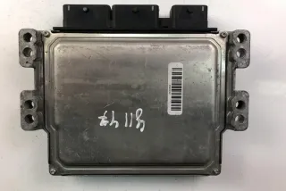 DZ01_ 237100914R Блок управления двигателем Renault Megane 3 Арт e12060625, вид 2