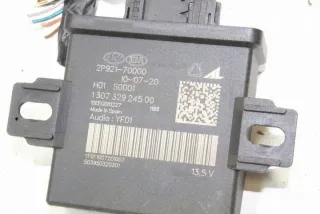 2P92170000 Блок управления светом Kia Sorento 2 Арт e12018845, вид 1