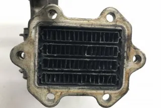 038131513AD Радиатор EGR Seat Altea Арт e12010609, вид 1