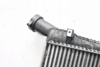 8ML376729561 Интеркулер Audi Q7 4L Арт e11992866, вид 3