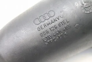 059129615L Гофра инжектора Audi A6 C7 (S6,RS6) Арт e11973346, вид 2