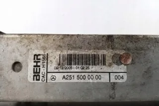 W251, A2515000000 Интеркулер Mercedes GL X164 Арт e11960237, вид 1
