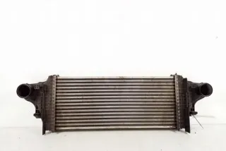 W251, A2515000000 Интеркулер Mercedes GL X164 Арт e11960237, вид 3