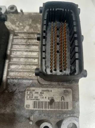 0261206982 Блок управления двигателем Fiat Punto 2 Арт e11953298, вид 3