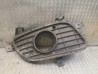 1698850622 Решетка радиатора Mercedes A W169 Арт e11924502, вид 1