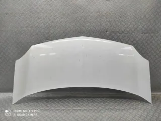 2007-2012 TWS33642 Капот Renault Kangoo 2 Арт e11923897, вид 1