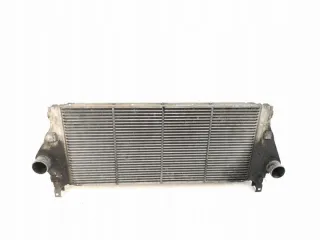 8200008761 Интеркулер Renault Laguna 2 Арт e11873802, вид 1