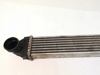 A1695000000 Интеркулер Mercedes A W169 Арт e11873567, вид 2