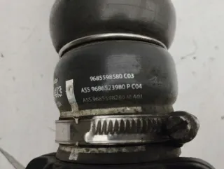9685598580 Гофра инжектора Citroen C4 2 Арт e11843706, вид 6