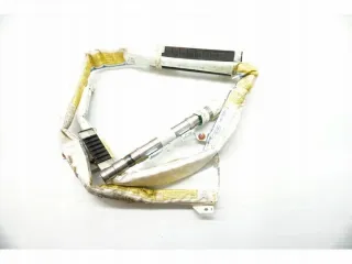 11-17 85010-1W000 Подушка безопасности Kia Rio 3 Арт e11842285, вид 1