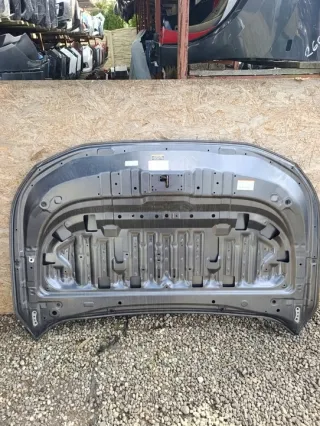 2019-2025 ,M,09 Капот Toyota Rav 4 5 Арт e11826398, вид 2