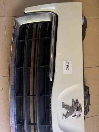 Dndbdejdj12, Решетка радиатора Peugeot Expert 2 Арт e11826171, вид 2