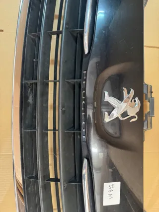 Skaka…o2 Решетка радиатора Peugeot Expert 2 Арт e11826170, вид 3